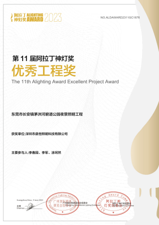 阿拉丁神燈-優(yōu)秀工程獎